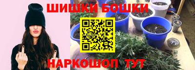 ешки Будённовск