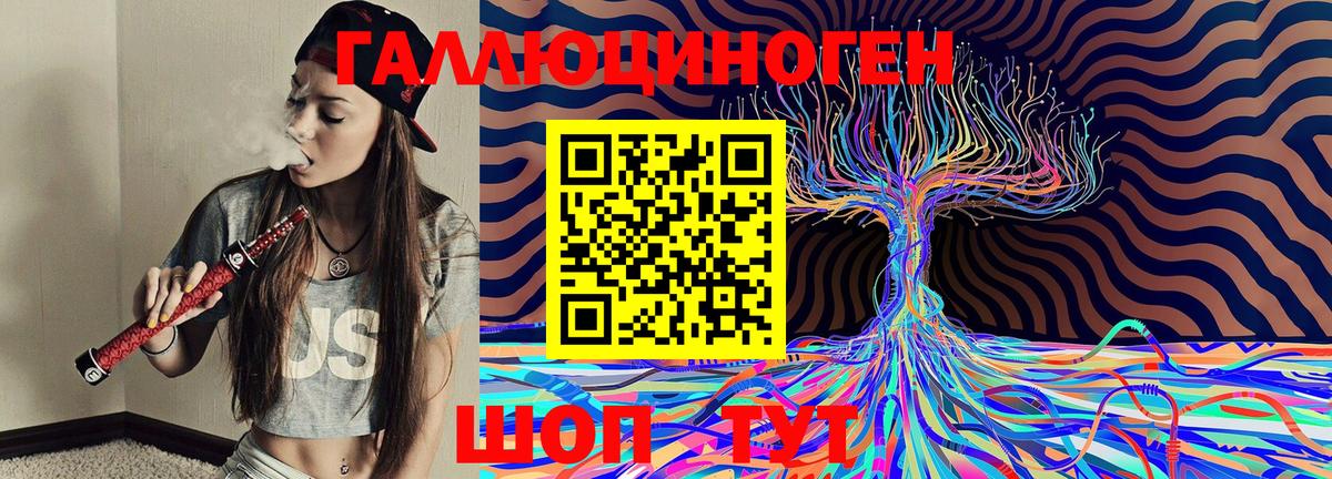закладки  Вход с VPN  Карабулак  Псилоцибиновые грибы MAGIC MUSHROOMS 